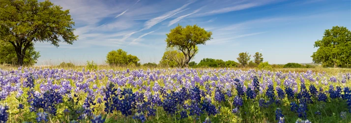 Global Chiropractic in Plano TX Global Chiropractic in Plano TX